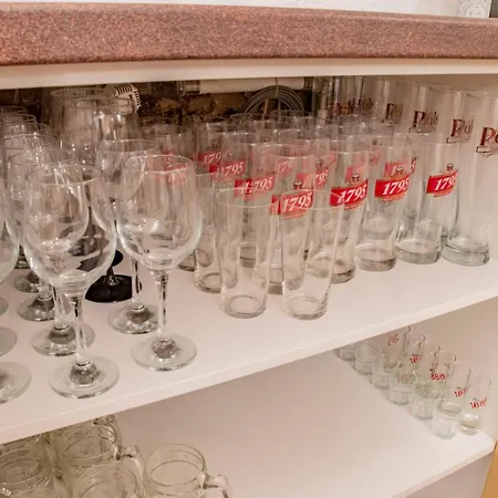 公寓 Center With Sauna - Free Parking *